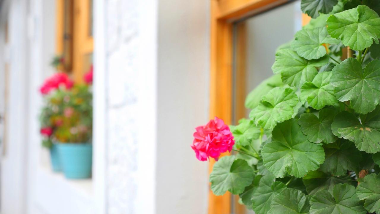 Fengma Feiyang Hostel Лхаса Экстерьер фото